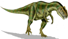 Allosaurus