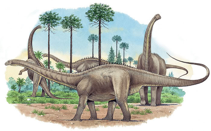 Apatosaurus | Prehistoria Fandom | Fandom Apatosaurus | Prehistoria Fandom | Fandom