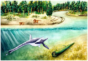 Fluvionectes2