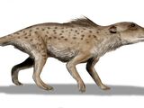 Pakicetus