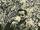 José Fernando Bonaparte