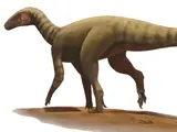 Amanasaurus