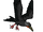 Limnofregata