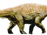 Diamantinasaurus