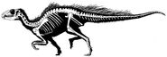 Esqueleto de Heterodontosaurus que muestra un posible plumaje