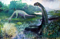 Ilustración de Brontosaurus en el agua, y Diplodocus en tierra.