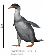 Copepteryx Prehistoria Fandom Fandom