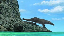Peregocetus