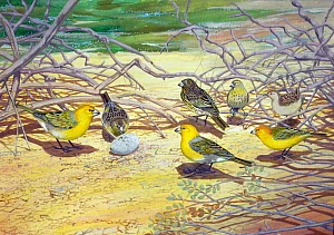 Telespiza persecutrix Prehistoria Fandom Fandom