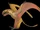 "Dimorphodon" weintraubi