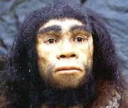 Homo heldelbergensis.png