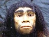Homo heidelbergensis