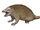 Asfaltomylos