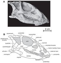 Fig-2-1x