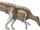 Zhuchengosaurus