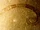 Eophasma