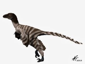 Geminiraptor NT 3243.jpg