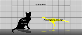 1920px-Xixianykus Scale.svg