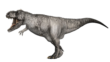 Giganotosaurus DDTA