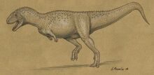 Aucasaurus1.jpg