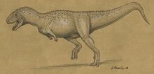 Aucasaurus1