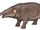 Barytherium