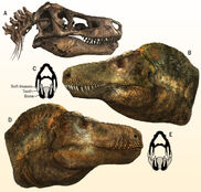 Cullen et al. 2023