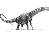 Futalognkosaurus