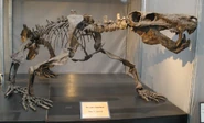 Inostrancevia alexandri.