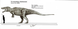 Tyrannotitan chubutensis by teratophoneus-d511v2i