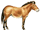 Pliohippus