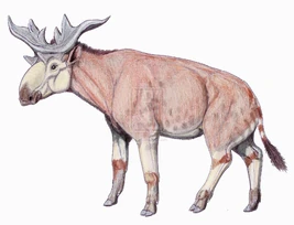 Sivatherium