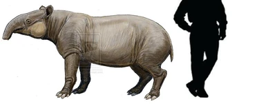 Megatapirus