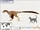 Kansaignathus