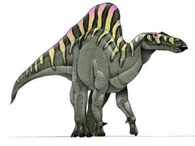 Ouranosaurus1.jpg