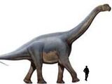 Aragosaurus