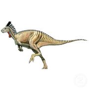 Dryosaurus