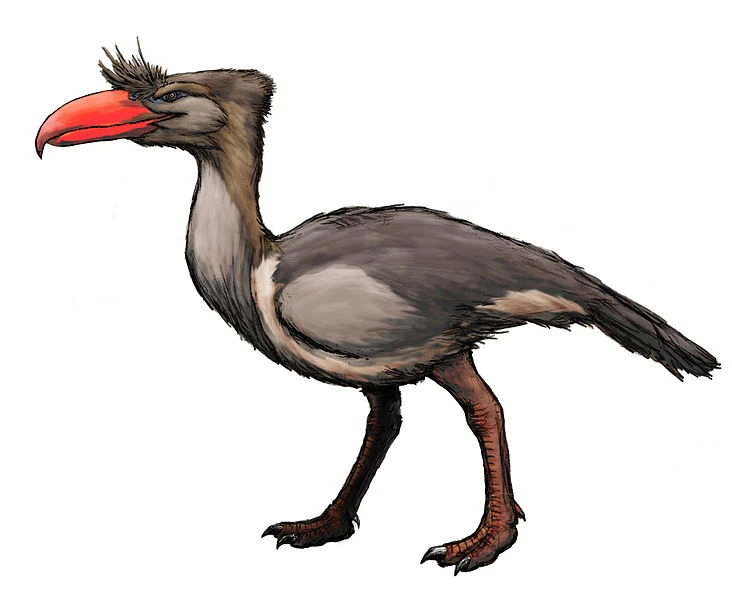 Kelenken Prehistoria Fandom Fandom