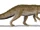 Ornithosuchus