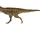 Rugops
