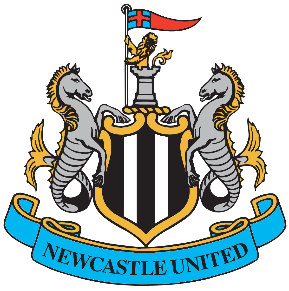 ニューカッスルユナイテッド 07/09 Newcastle United Newcastle United F.C. | Premier League Wiki | Fandom