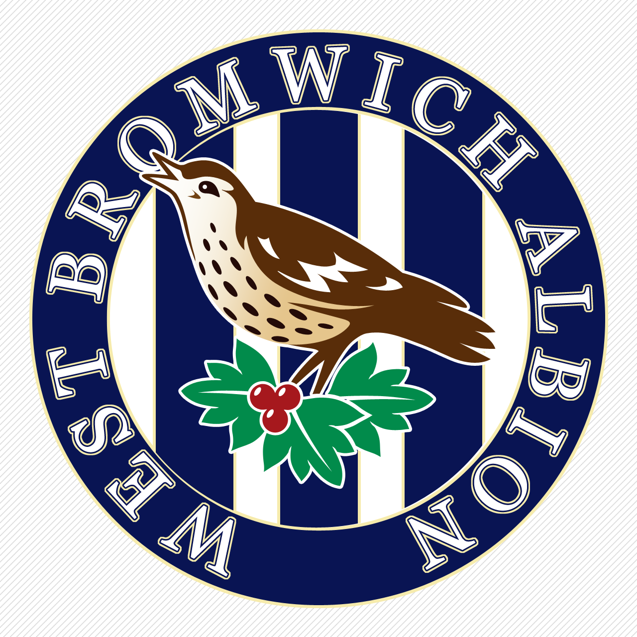 West bromwich albion fc discount