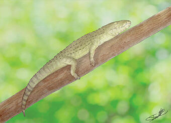 Mekosuchus by angeloraptorex230 dff13iv-fullview