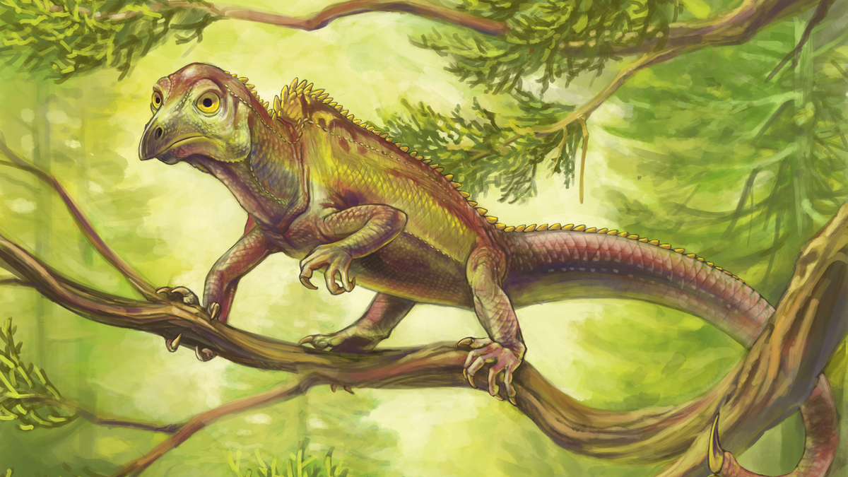 На рисунке изображен майаспондил вымершая рептилия. Древние пресмыкающиеся, древние рептилии. Ящерицы Триасового периода. Амфибии Триасового периода. Динозавры Триасового периода.