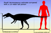 Herrerasaurus-size