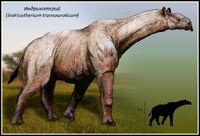 S13309508.jpg (40 Кб) S13309508