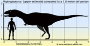 Majungasaurus-size