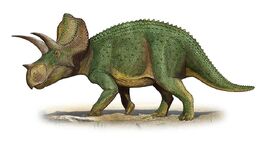 Ojoceratops