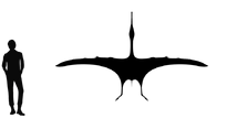 0u3d164e00-5aa20c3c-63fd8d37.png