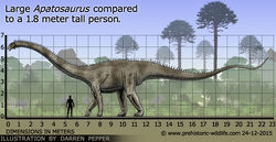 Apatosaurus-size